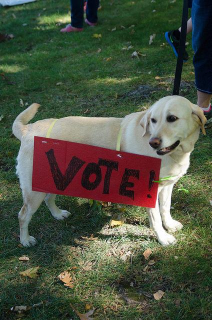 A+dog+sports+a+Vote%21+sign+at+the+Peoples+Climate+March+at+Cowley+Park%2C+Spokane.+