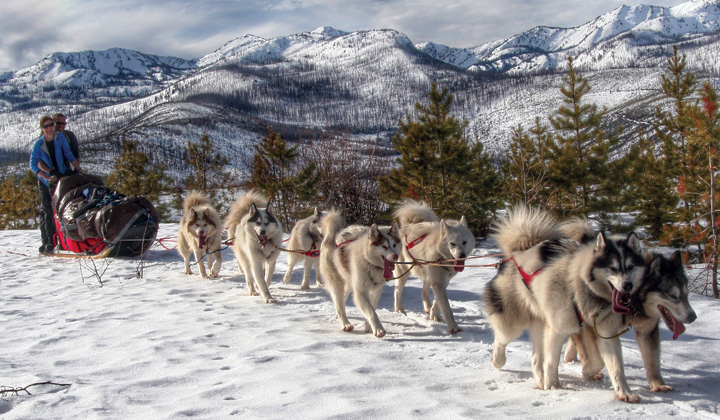 Through EPIC Adventures, EWU students will participate in dogsledding as well as other winter sessions in Montana in January and February. This is the sixth year EPIC has attended Base Camp Bigfork | Photo courtesy of Base Camp Bigfork