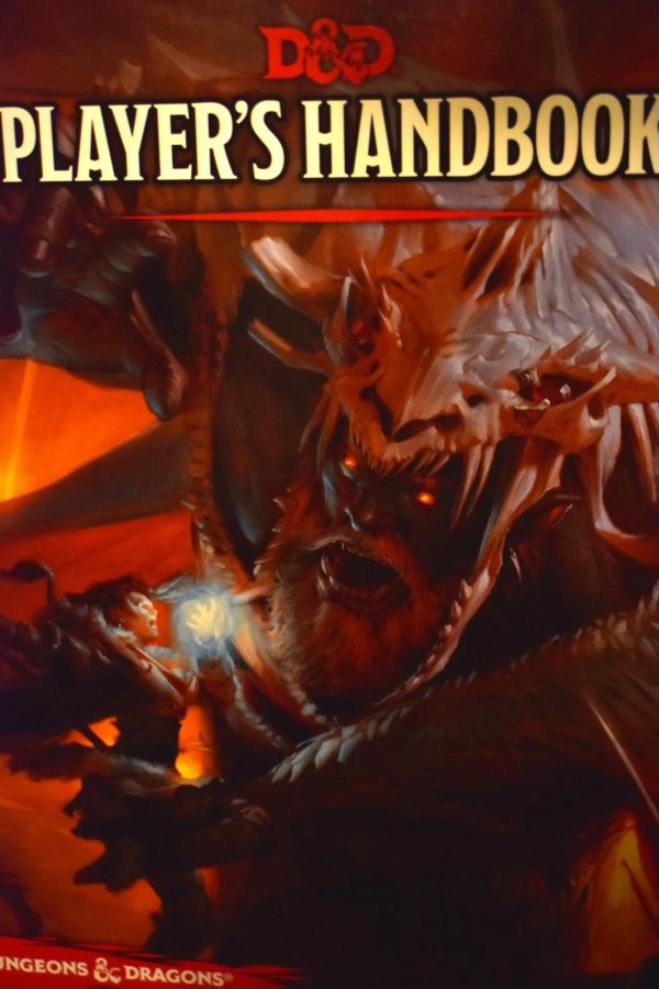 The players handbook contains instructions on how to play D&D.