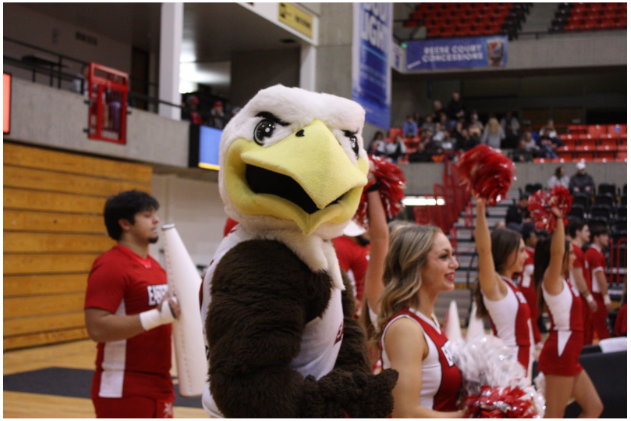 Swoop and the EWU cheerleaders rally from the sidelines during the Nov. 6, 2024 basketball game against Seattle University.