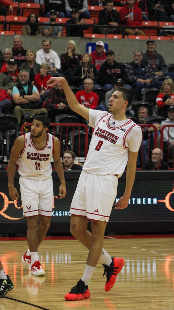 On Dec. 4, sophomore forward Vice Zanki made a 3-pointer against North Dakota to give the Eagles an 85-79 lead with 23 seconds left in the game.